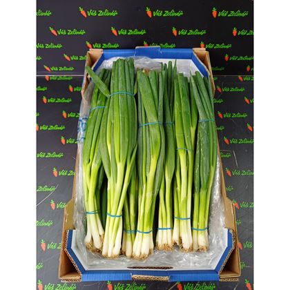 Cibule lahůdková, 14ks/2 kg