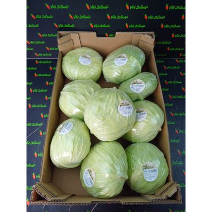 Zelí Jaroma folie, 8ks (9kg)