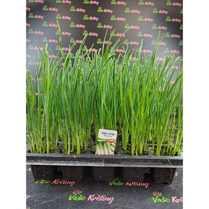 Pór letní 13Kč, 45ks PL