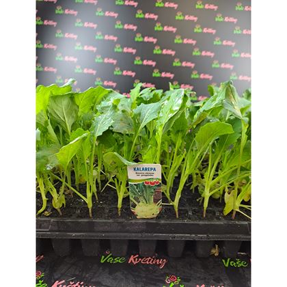 Kedluben 3Kč, 160ks PL