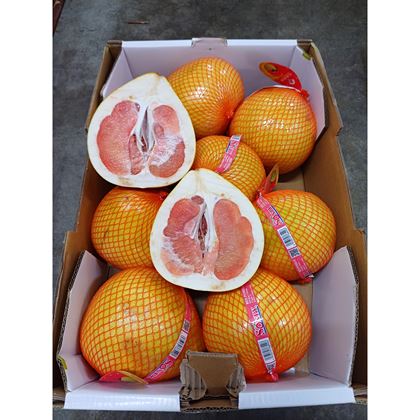 Pomelo červené, 8ks - SLEVA