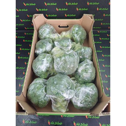 Brokolice, fólie, 10x500g