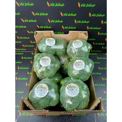 Brokolice, fólie, 10x500g