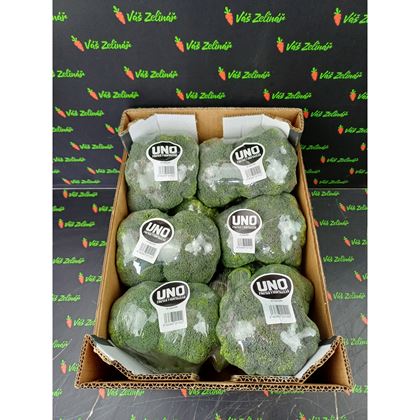 Brokolice, fólie, 10x500g