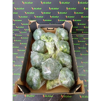 Brokolice, fólie, 10x500g