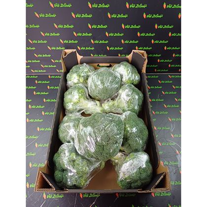Brokolice, fólie, 10x500g