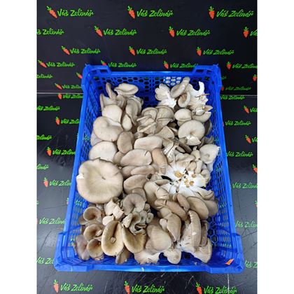 Hlíva ústřičná (1,5kg) - 1 balení