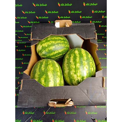 Meloun Vodní bezsemenný červený, 16kg (4ks)