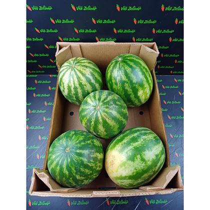 Meloun Vodní bezsemenný červený, 16kg (4ks)