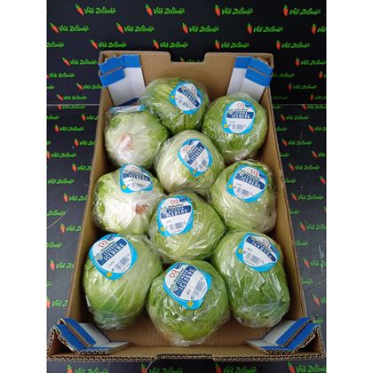 Salát ledový 450+, 10ks