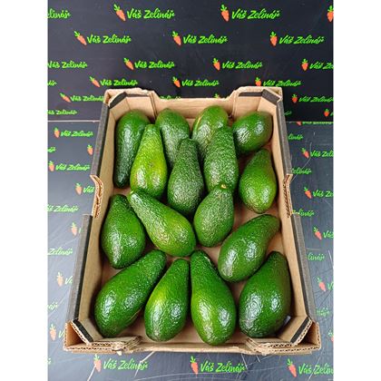 Avocado Fuerte, 16ks