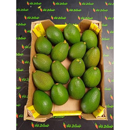 Avocado Hass, 16ks