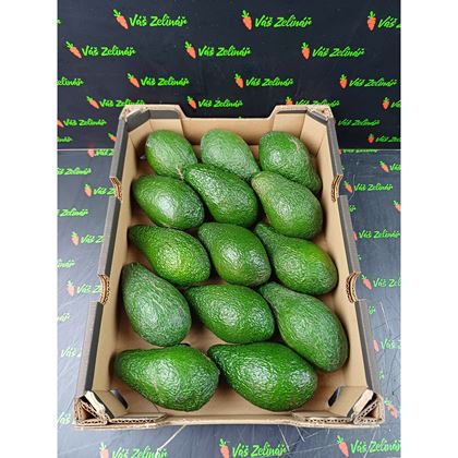 Avocado Fuerte, 14ks