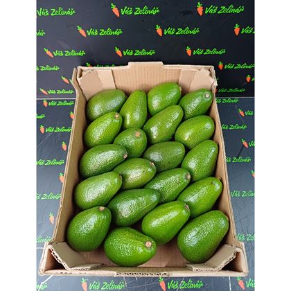 Avocado Fuerte, 20ks