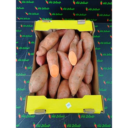 Batát M, 6kg