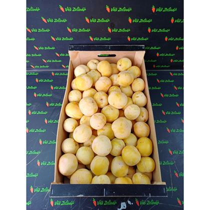Blumy žluté Sun Gold, 9kg