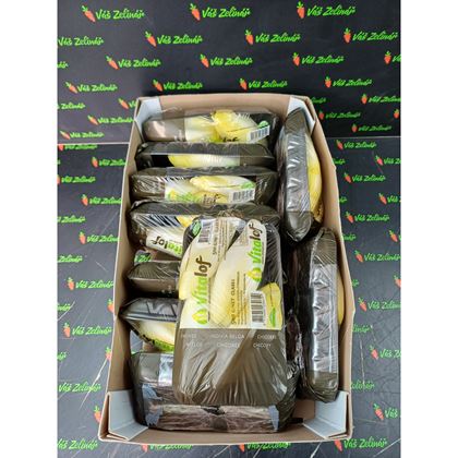 Čekanka obecná, 10x500g