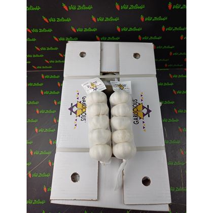 Česnek síťka, 40x250g (10kg)