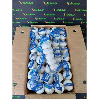 Česnek síťka, 40x250g (10kg)