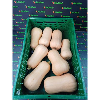 Dýně máslová, 10kg