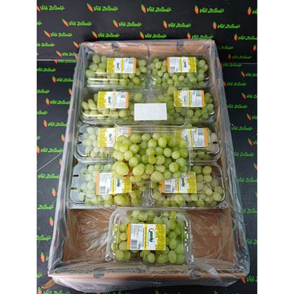 Hrozny bílé bezsemenné, 10x500g