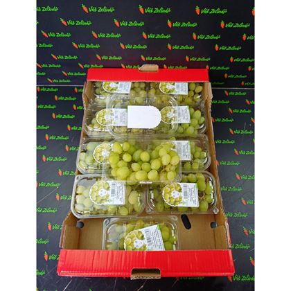 Hrozny bílé Thompson bezsemenné, 10x500g