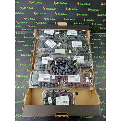 Hrozny modré, 500g/ks