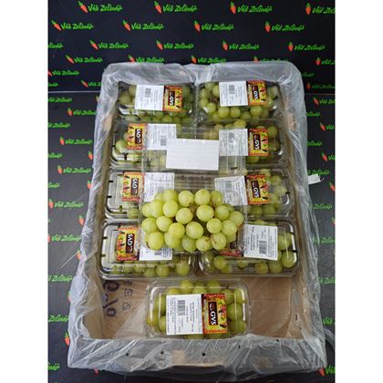 Hrozny bílé sweet globe bezsemenné, 10x500g