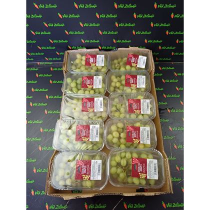 Hrozny bílé sweet globe bezsemenné, 10x500g