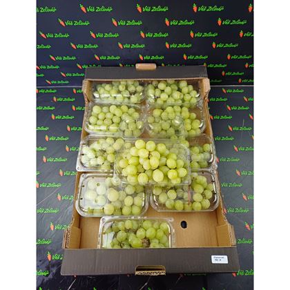 Hrozny bílé sweet globe bezsemenné, 10x500g