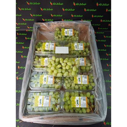 Hrozny bílé bezsemenné Thompson, 10x500g