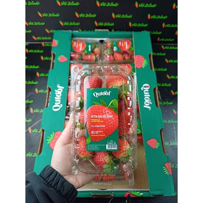 Jahody vanička, 10x250g