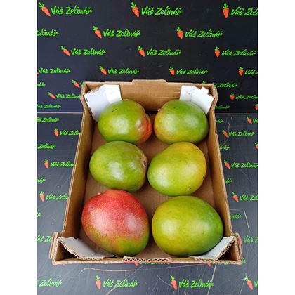 Mango Kent, 6ks