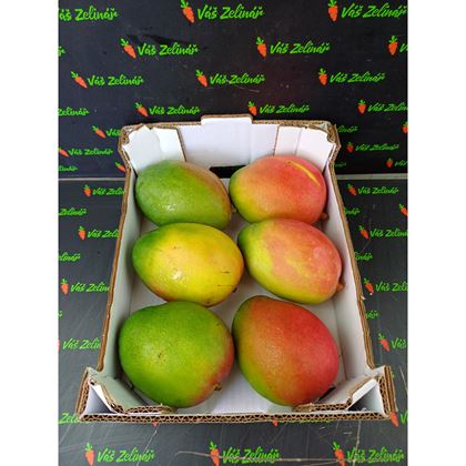 Mango Kent, 6ks