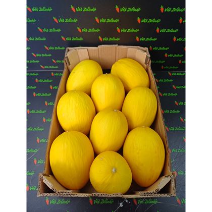 Meloun medový Honeydew KS