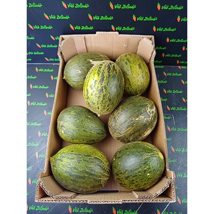 Meloun cukrový - Piel de Sapo Ks