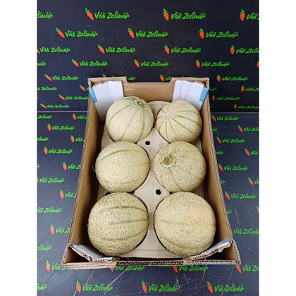 Meloun Cantaloupe, 6ks