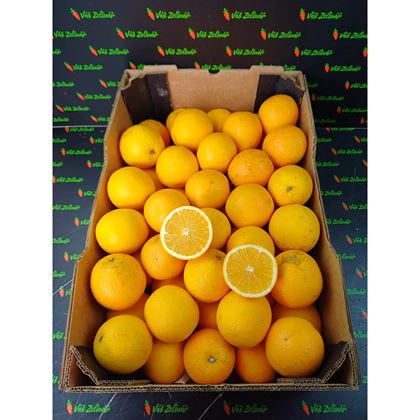 Pomeranče Valencie velké 55 (15kg)