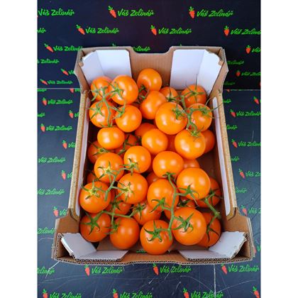 Rajčata oranžová keřík