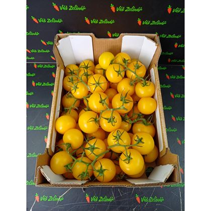 Rajčata žlutá keřík, 5kg