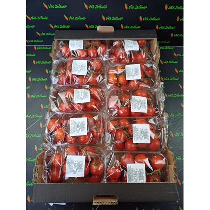Rajčata koktejl keřík, 10x500g