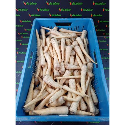 Petržel kořen,5  kg