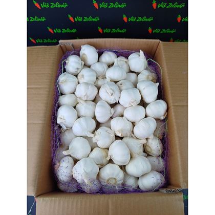 Česnek PW 55+MM, 10kg