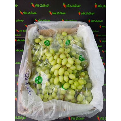 Hrozny bílé bezsemenné Sweet Globe, 4,5kg