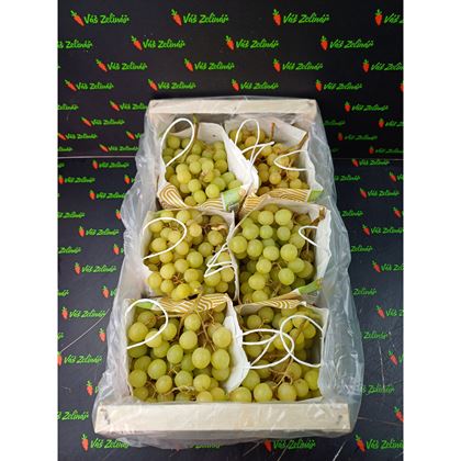 Hrozny bílé bezs. Autumn Crisp, 6kg