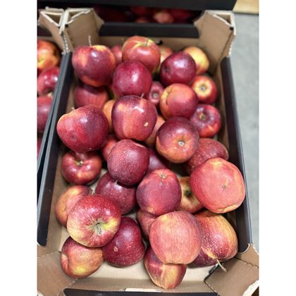 Jablko Red prince volné 80+, 14kg II.jakost