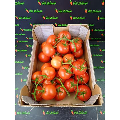 Rajčata keřík, 5 kg