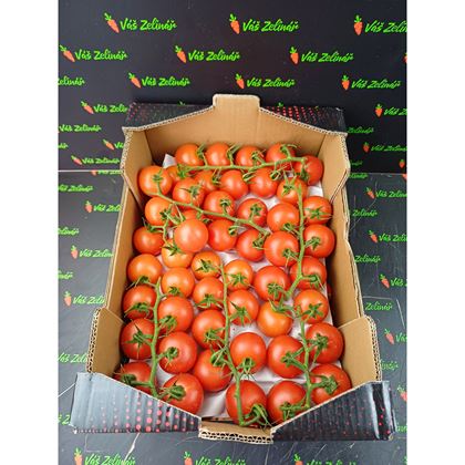 Rajčata koktejl. Tomino, 5kg