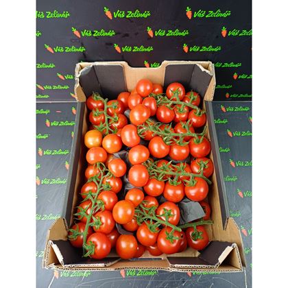 Rajčata koktejl. Tomino, 5kg