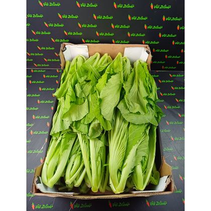 Kai Choi - Čínská hořčice, 6kg